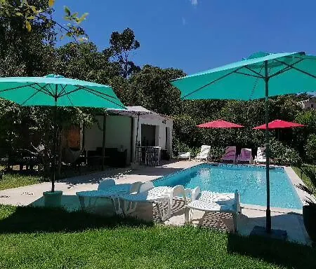 Шале Et Mobile Home, Au Sein Du Maquis Corse Avec Piscine Privative 9mx4m