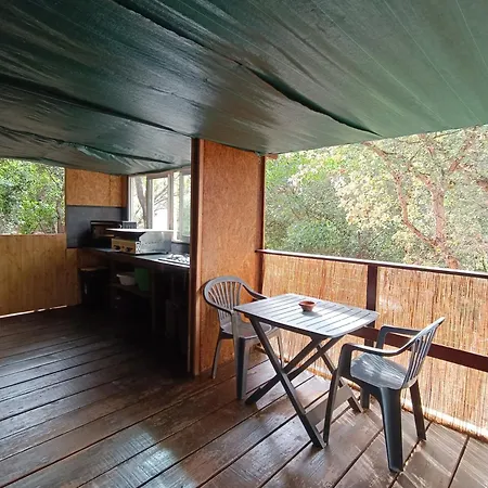 Et Mobile Home, Au Sein Du Maquis Corse Avec Piscine Privative 9mx4m Шале Дзондза