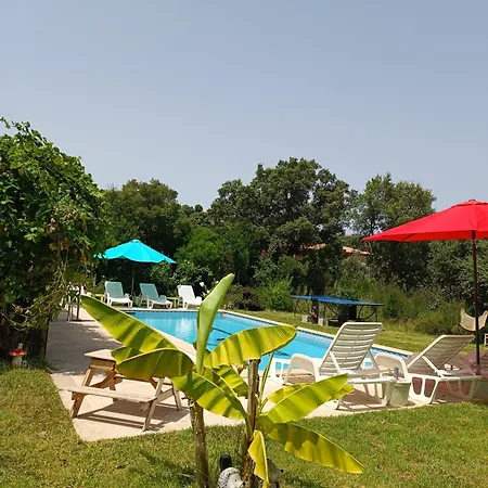 Et Mobile Home, Au Sein Du Maquis Corse Avec Piscine Privative 9mx4m