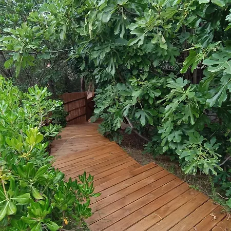 Et Mobile Home, Au Sein Du Maquis Corse Avec Piscine Privative 9mx4m 木屋 宗扎