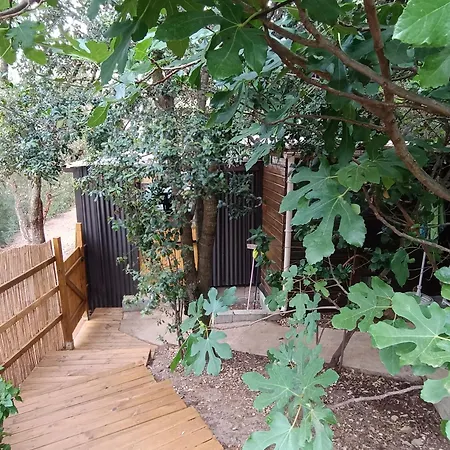 Chalet Et Mobile Home, Au Sein Du Maquis Corse Avec Piscine Privative 9mx4m