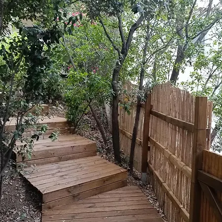 Chalet Et Mobile Home, Au Sein Du Maquis Corse Avec Piscine Privative 9mx4m Zonza