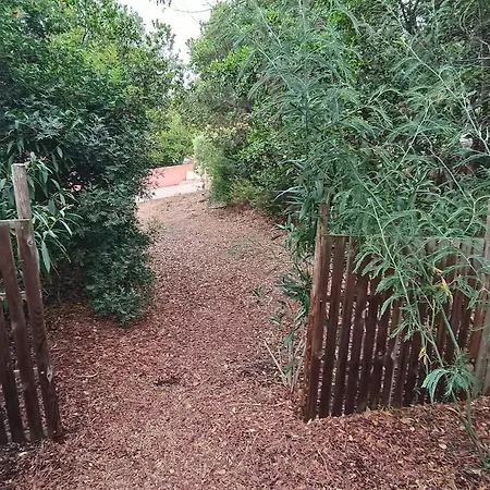 Et Mobile Home, Au Sein Du Maquis Corse Avec Piscine Privative 9mx4m Zonza