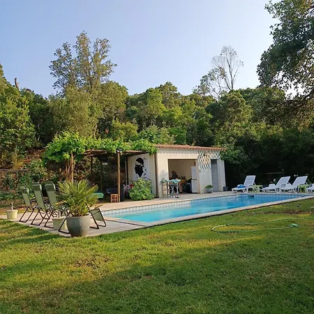 木屋 Et Mobile Home, Au Sein Du Maquis Corse Avec Piscine Privative 9mx4m 宗扎