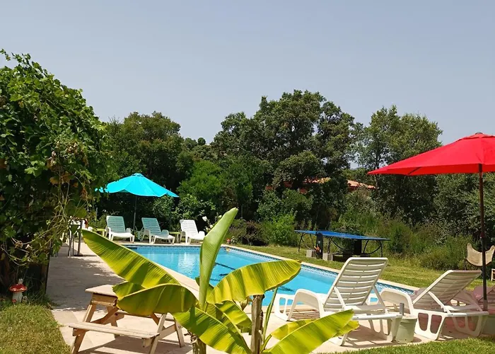 Et Mobile Home, Au Sein Du Maquis Corse Avec Piscine Privative 9mx4m