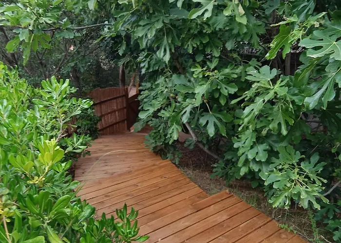 Et Mobile Home, Au Sein Du Maquis Corse Avec Piscine Privative 9mx4m 木屋 宗扎