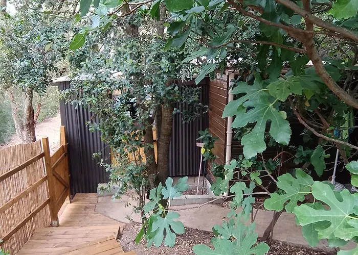 木屋 Et Mobile Home, Au Sein Du Maquis Corse Avec Piscine Privative 9mx4m