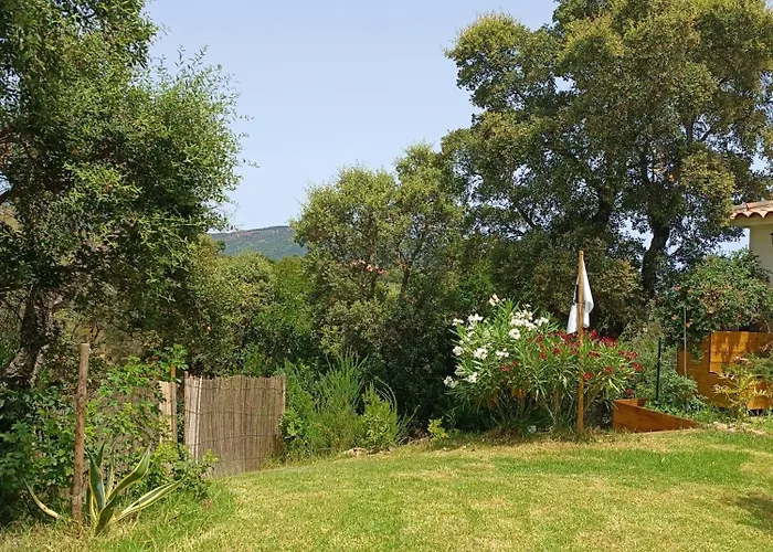 Et Mobile Home, Au Sein Du Maquis Corse Avec Piscine Privative 9mx4m 宗扎