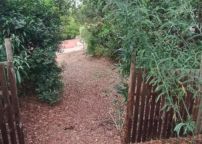 Et Mobile Home, Au Sein Du Maquis Corse Avec Piscine Privative 9mx4m 宗扎