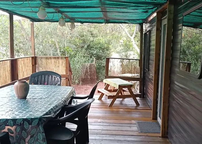 Et Mobile Home, Au Sein Du Maquis Corse Avec Piscine Privative 9mx4m 宗扎
