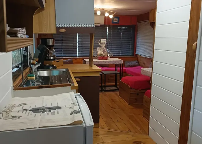 Chalet Et Mobile Home, Au Sein Du Maquis Corse Avec Piscine Privative 9mx4m Zonza