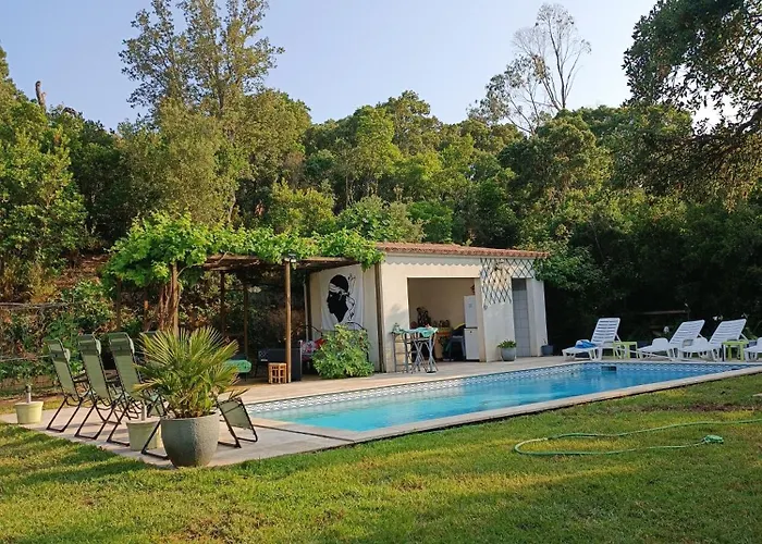 木屋 Et Mobile Home, Au Sein Du Maquis Corse Avec Piscine Privative 9mx4m 宗扎